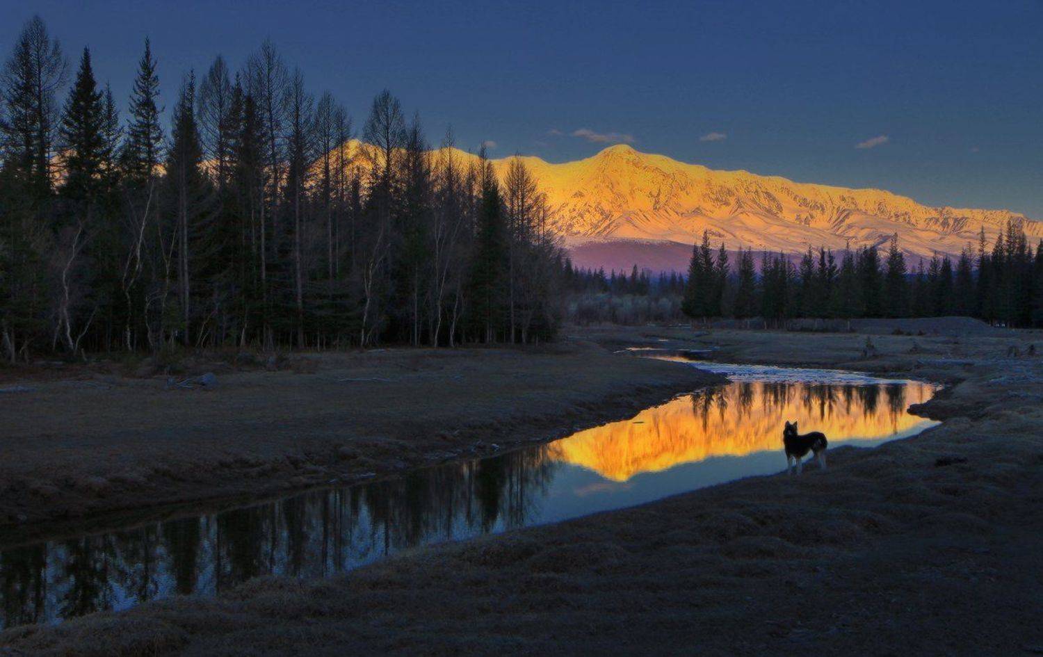 сибирь, алтай, горный алтай,северо-чуйский хребет, чуя, курай, весна, утро, рассвет, Галина Хвостенко