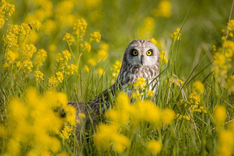 Что?Где? фото превью