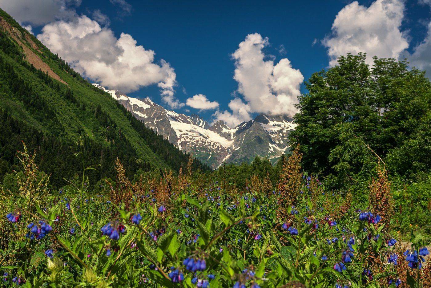 , Игорь Мелекесцев