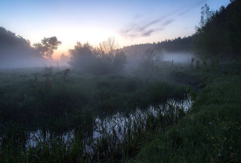 Утро в мае... фото превью