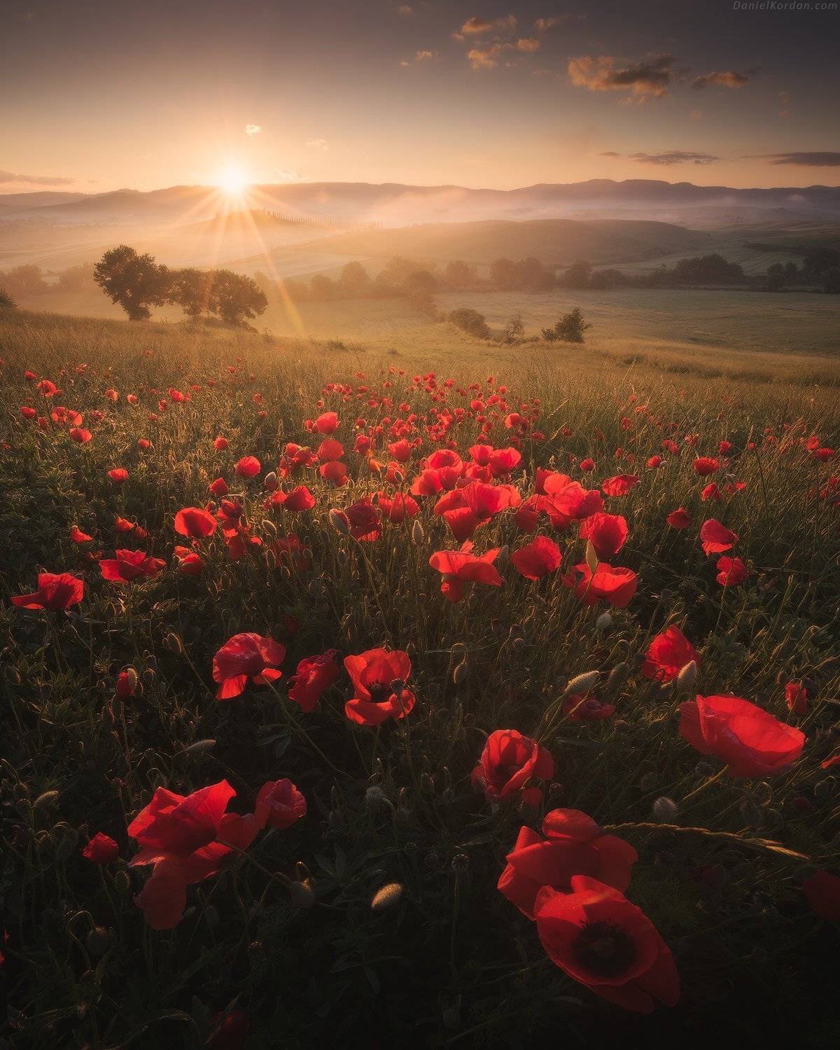 Тоскана, Италия, Даниил Коржонов