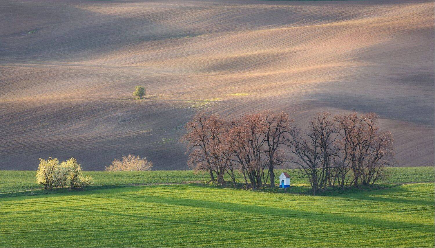 моравия, весна, дерево, трава, green, часовня, Марина Маликова