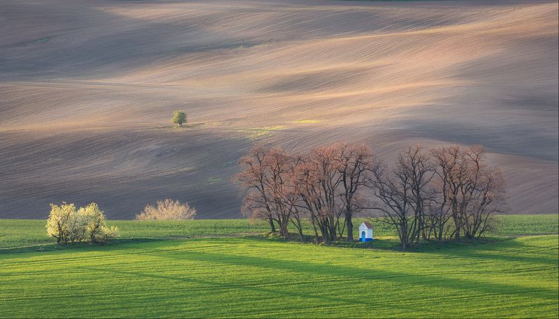 Springtime фото превью