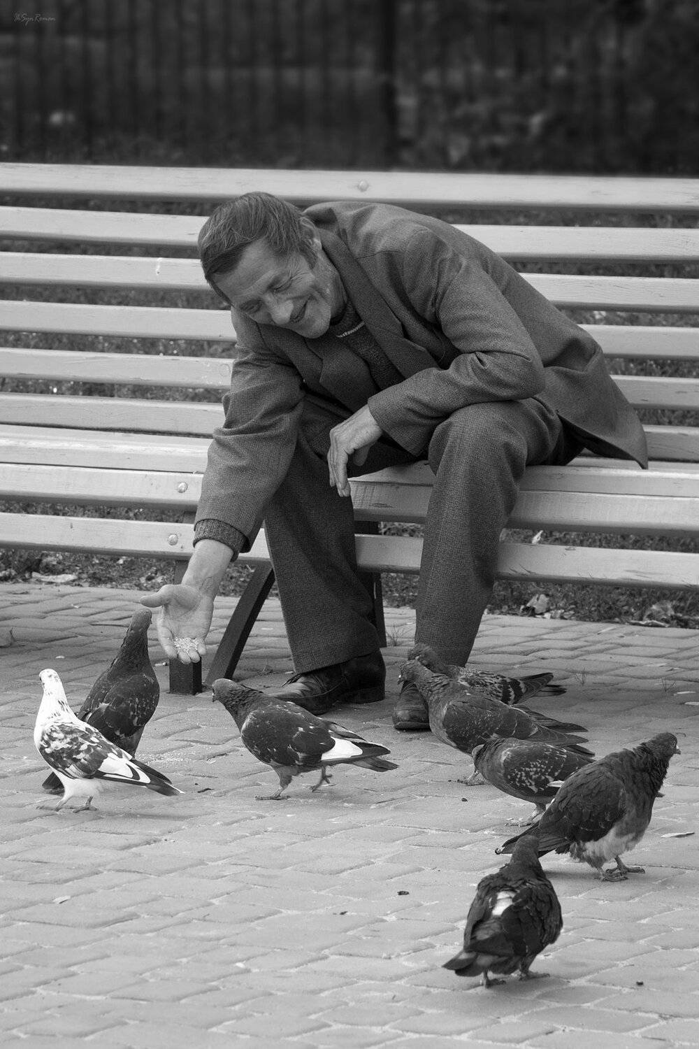 человек,голуби, Roma Krasov ( Chitinskiy )