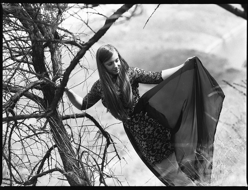 В порывах ветра фото превью