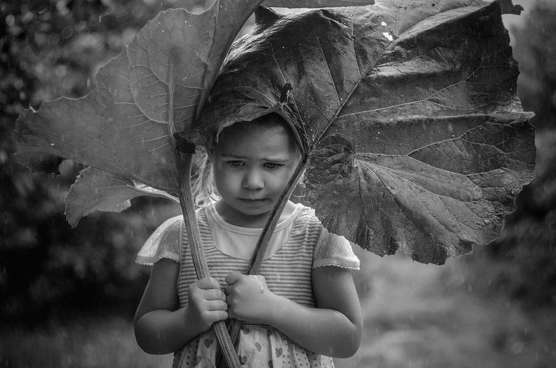Майский дождь фото превью