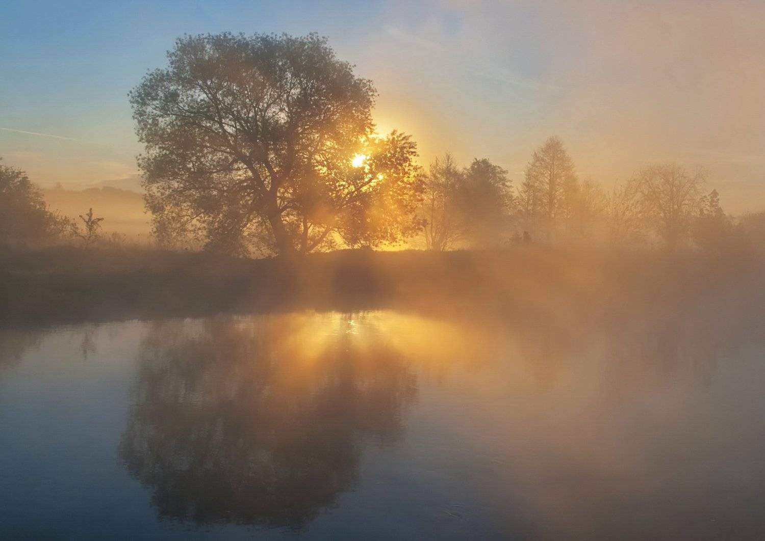 утро, туман, весна, свислочь, Александр Гвоздь