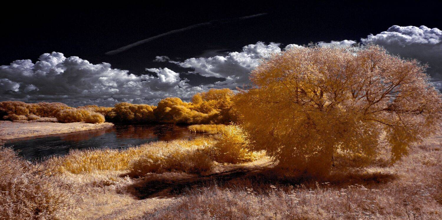infrared,ик-фото,инфракрасное фото,инфракрасная фотография,пейзаж,природа,беларусь,лето, Sixten ( Сергей )