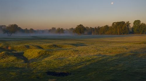 Рассвет на лугу