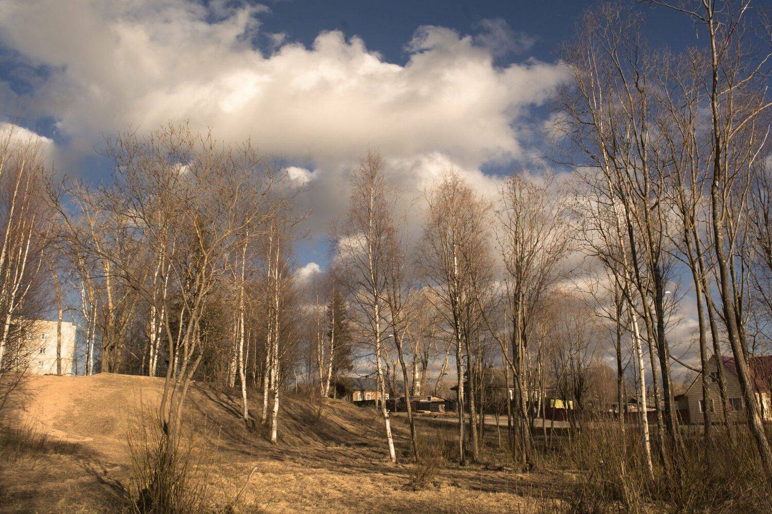 , Марина Никулина