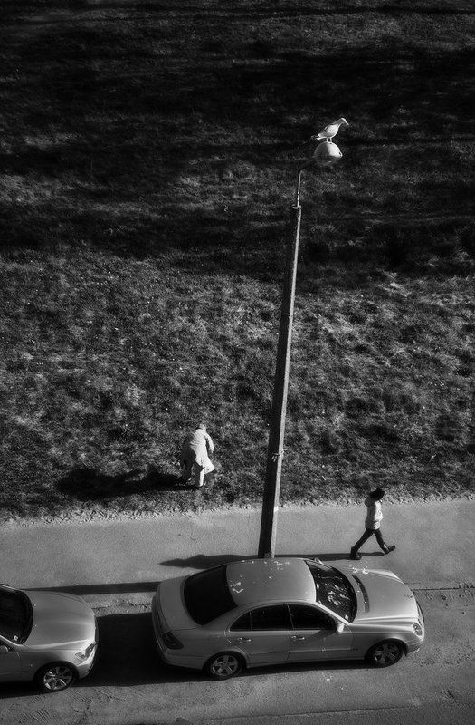 Я... А что я?.. Я ничего... фото превью