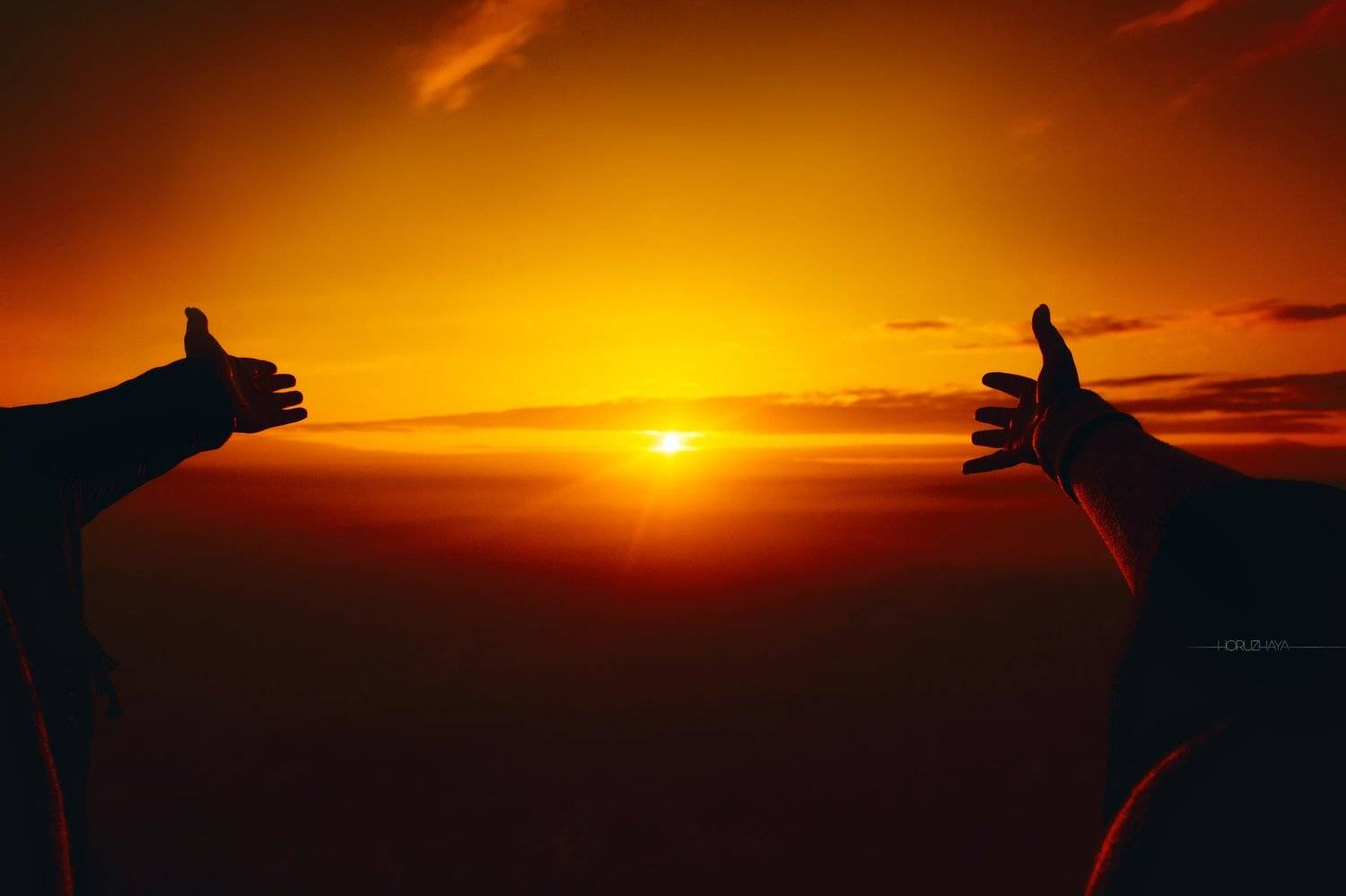 , Евгения Хоружая