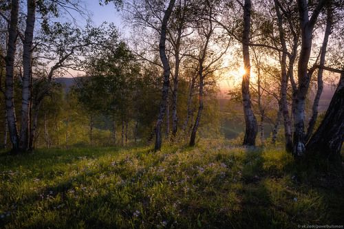 Вечерняя весна