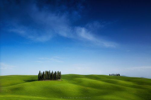 Tuscan wallpaper