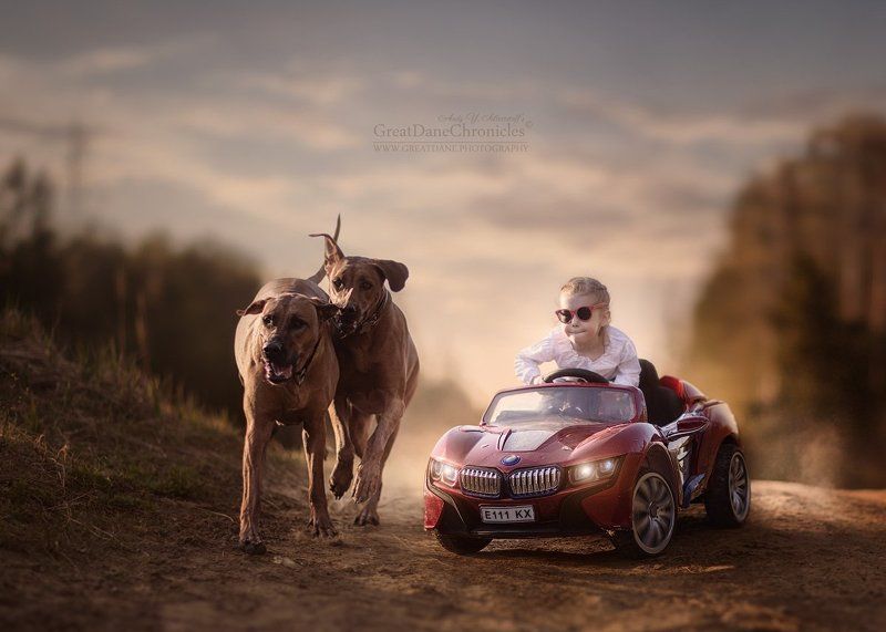 Ridgeback Auto Racing, part 2 фото превью