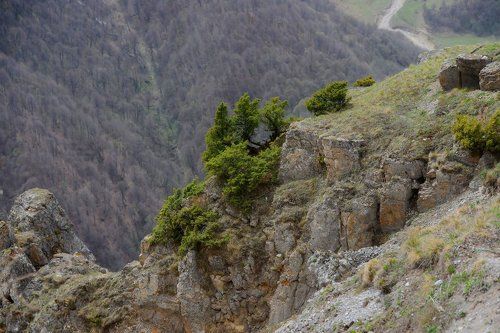 В ЧЕЧЕНСКИХ горах
