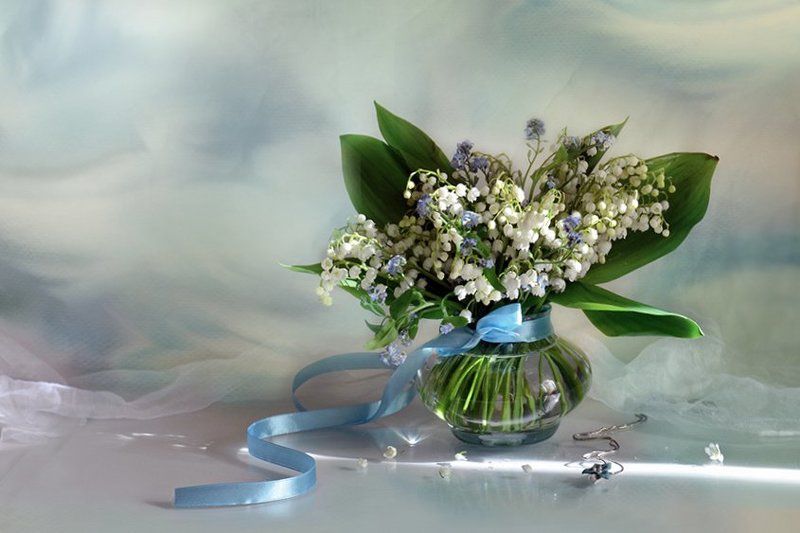 весна Лучик понимания фото превью