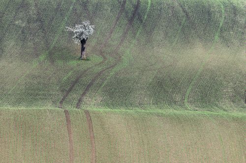 Препятствие