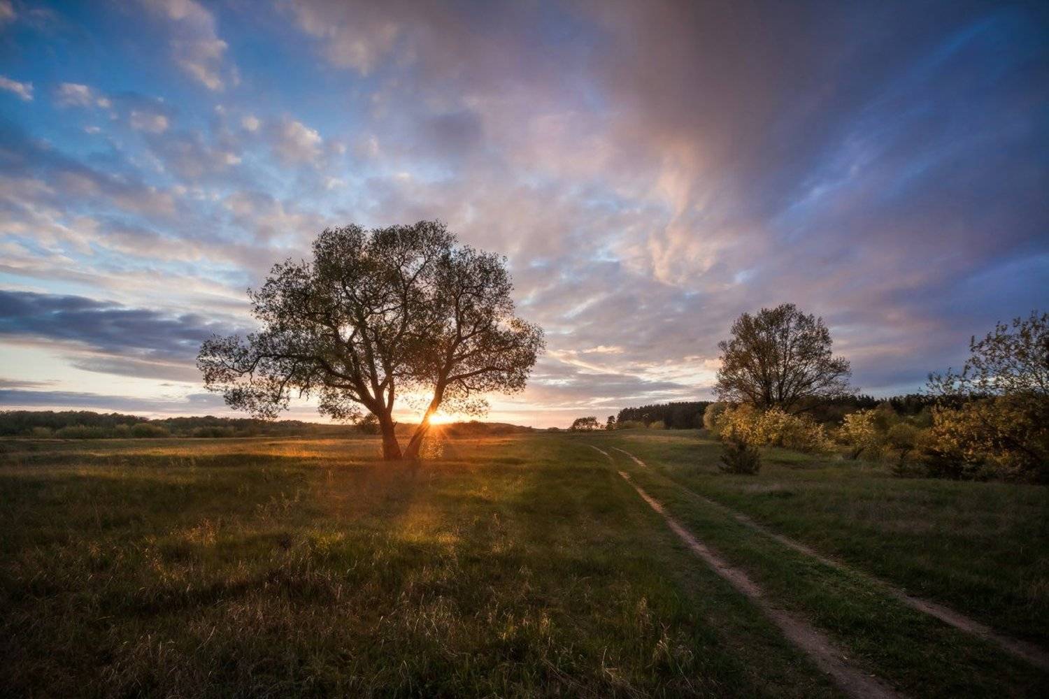 закат, весна, Копычко Михаил