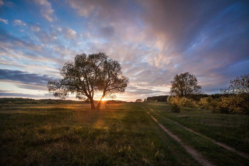 закат, весна Вечер фото превью