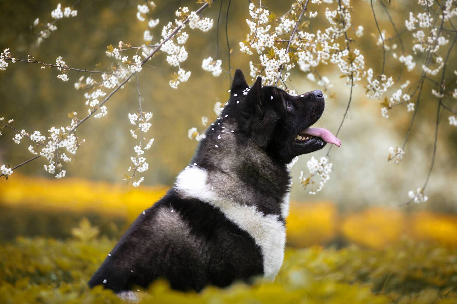 , Андрей Ершов