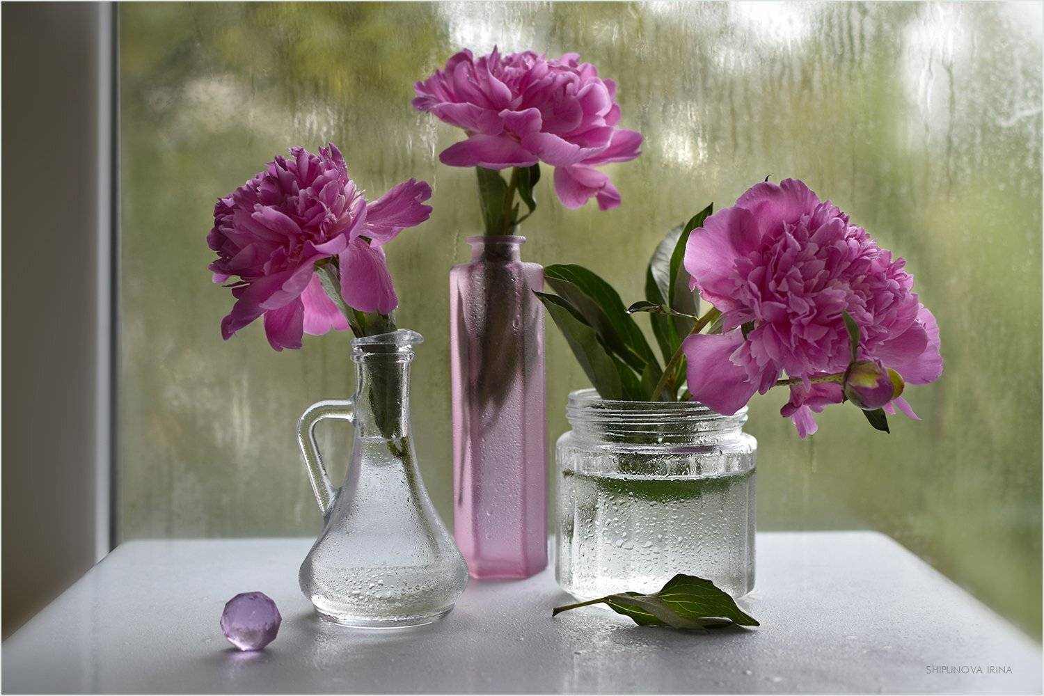 стекло пионы дождь, Шипунова Ирина