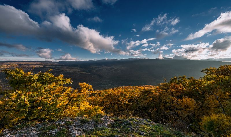 *** фото превью