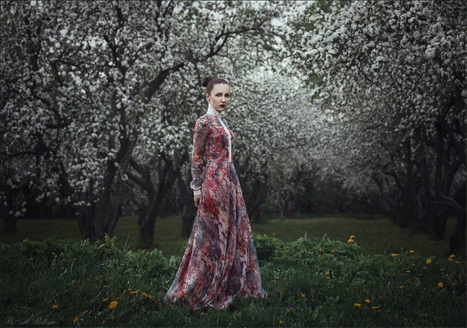 , Ариадна Белкина