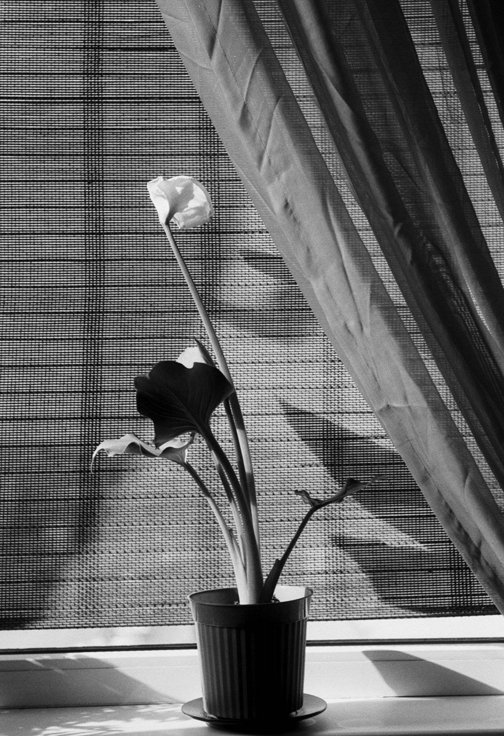 , Юркивский Игорь