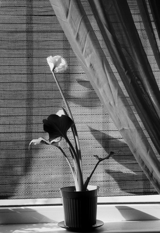 .... фото превью