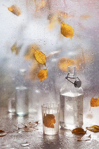 Давай отведаем эту осень до дна да выпьем водки