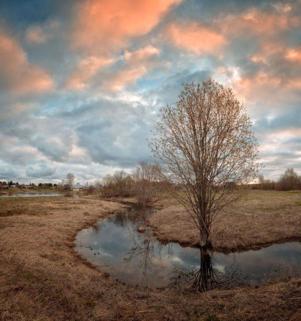 , Хохряков Николай