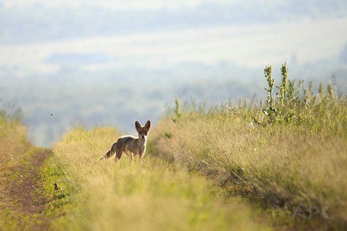 Неожиданно