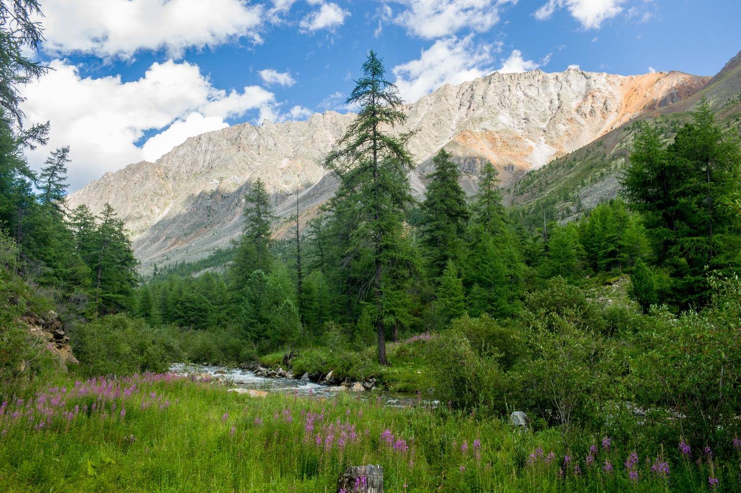 , Михаил Дронов