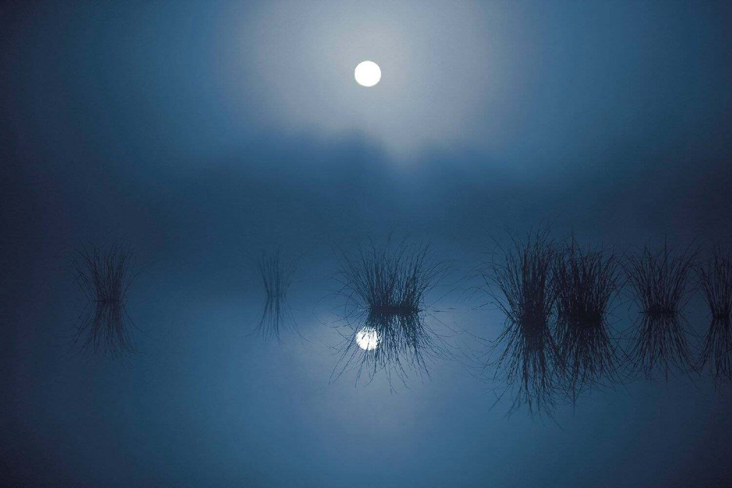 ночь,туман,болото,югра, Борис Полозков