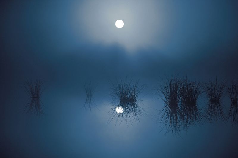 ночь,туман,болото,югра ночной туман фото превью