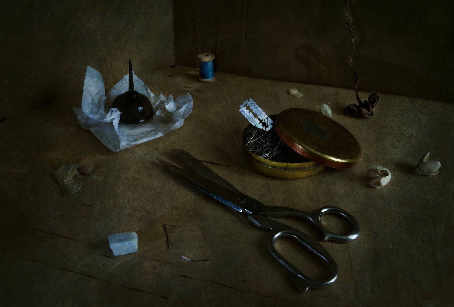 , Ирина Данилова