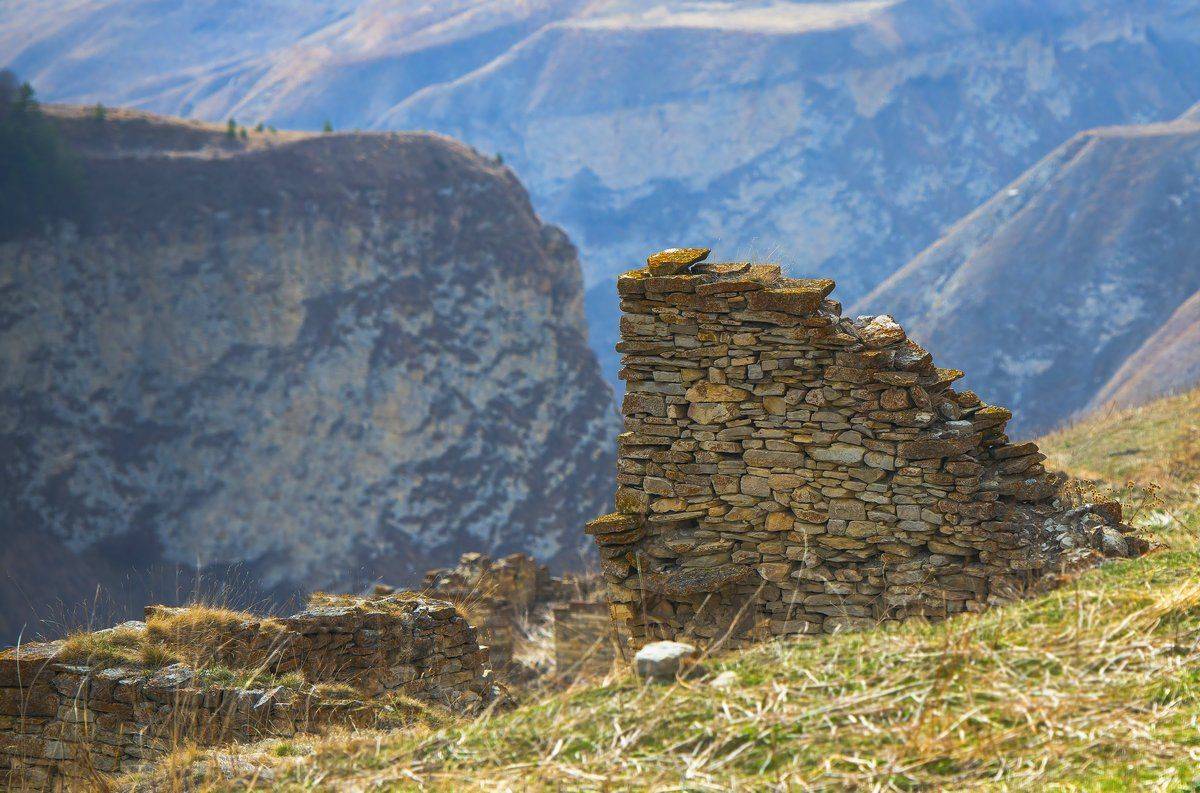 брошенное, Александр Маркелов