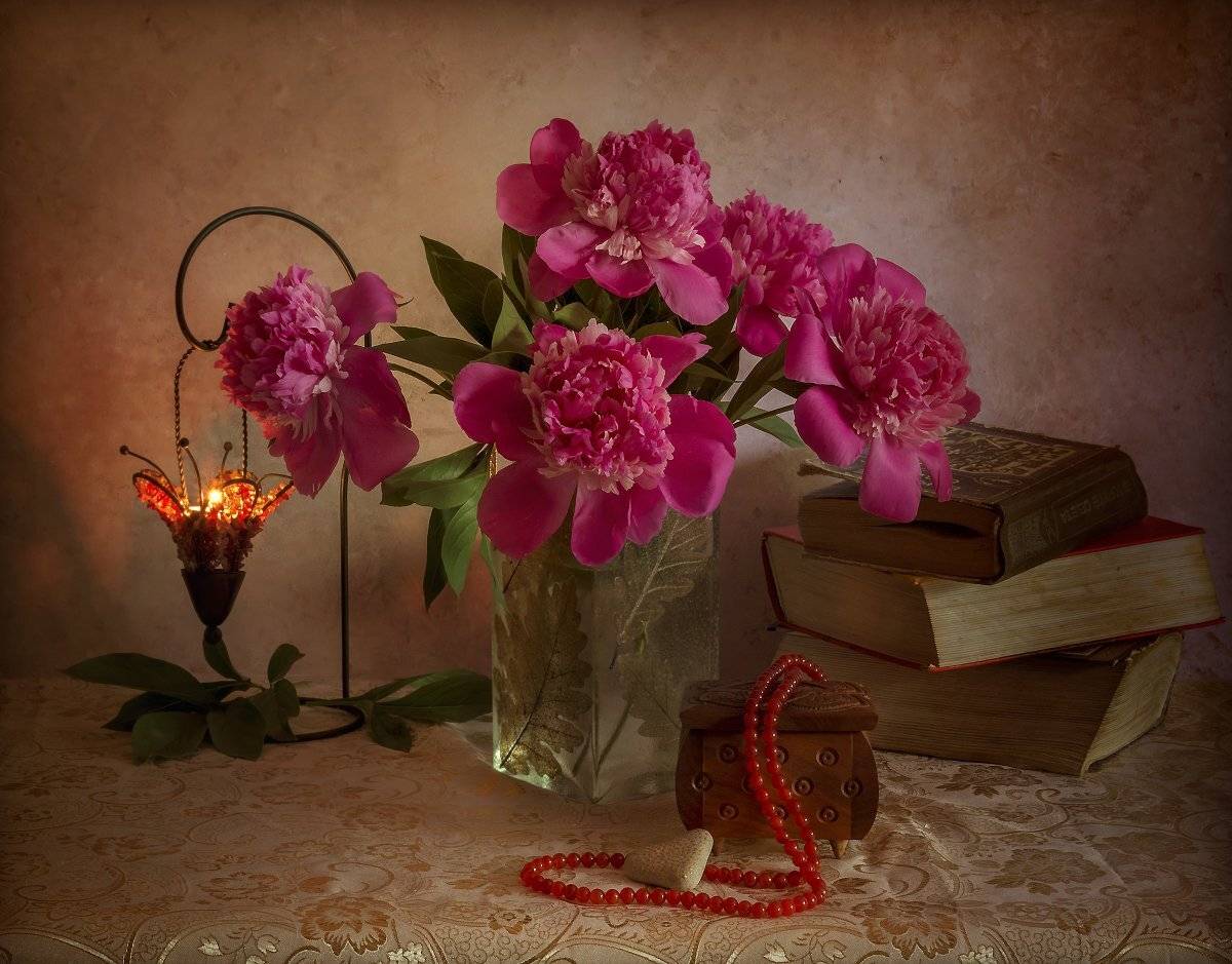 , Елена Брежицкая