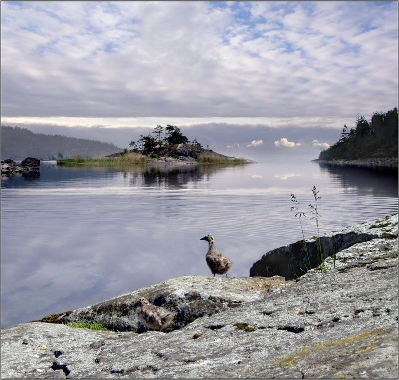 В шхерах Ладоги фото превью