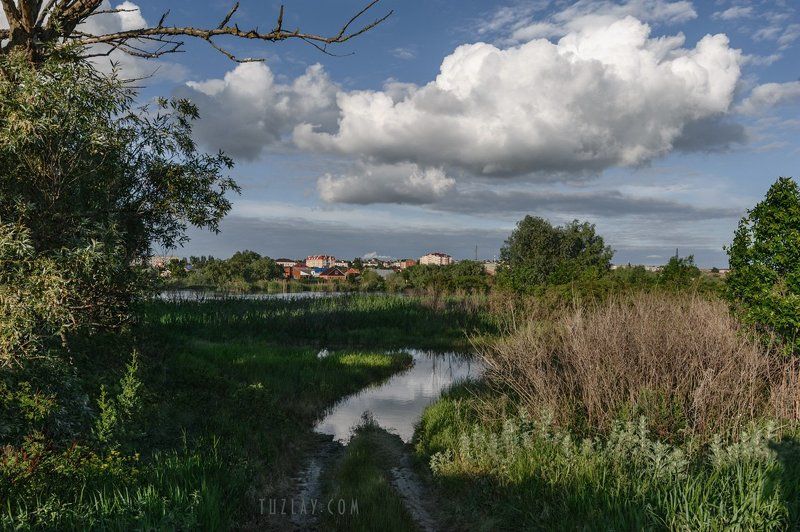 кубань, река кубань, темрюк Когда воды в реке много . . . фото превью
