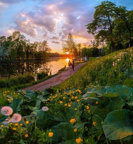 Весенние прогулки по дорожкам парка
