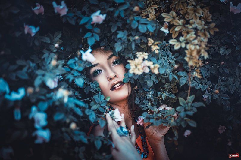 фото превью