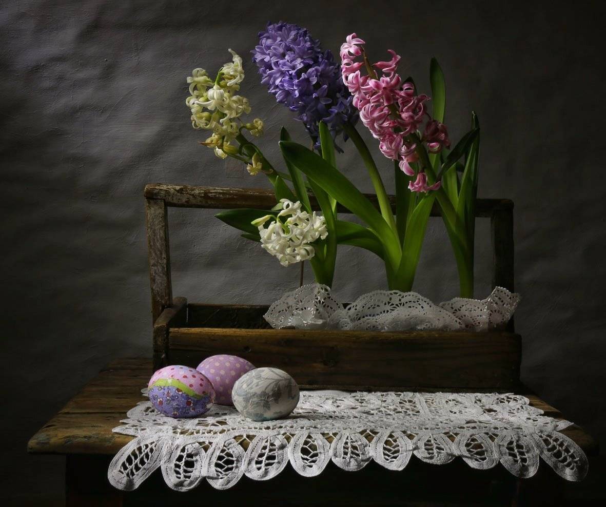 натюрморт, зефир,гиацинт,, Zadorina Svetlana