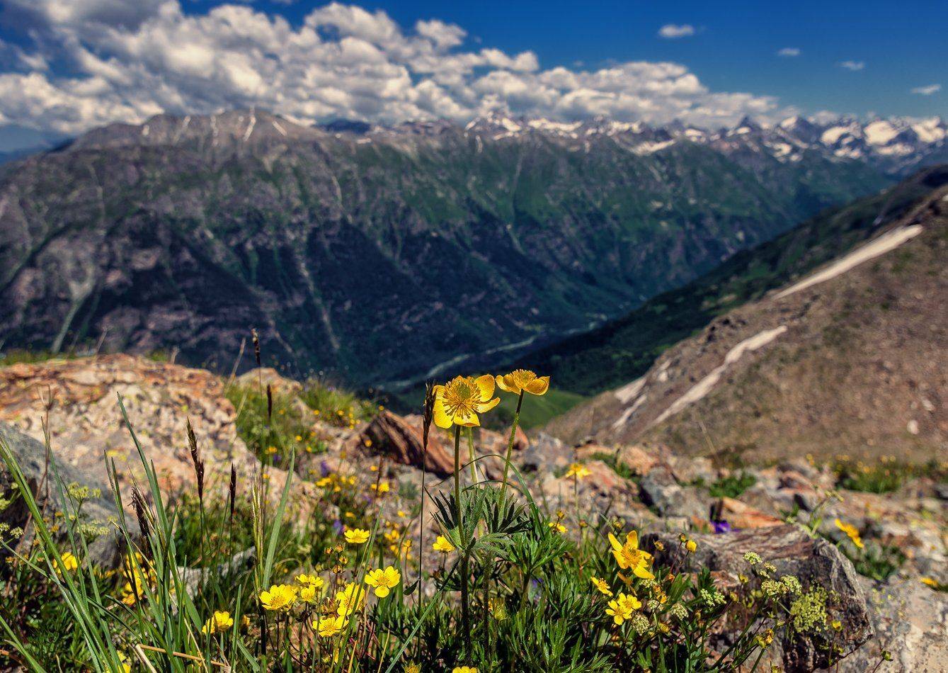 , Игорь Мелекесцев