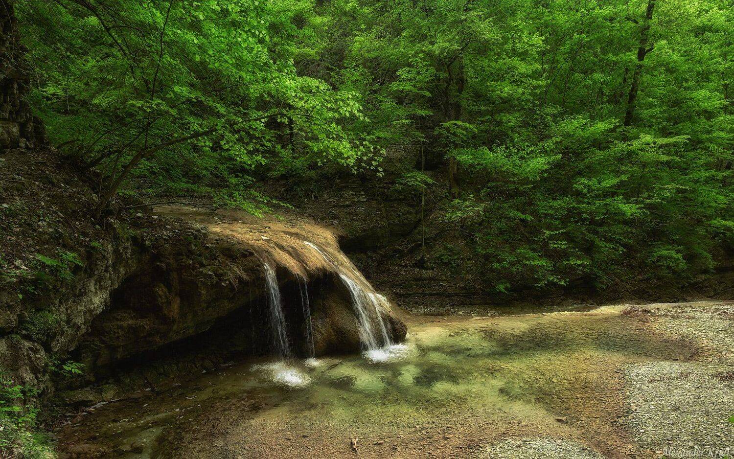 , Александр Круль