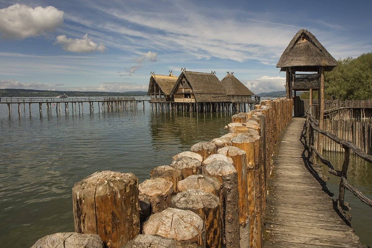 , Игорь Дубровский