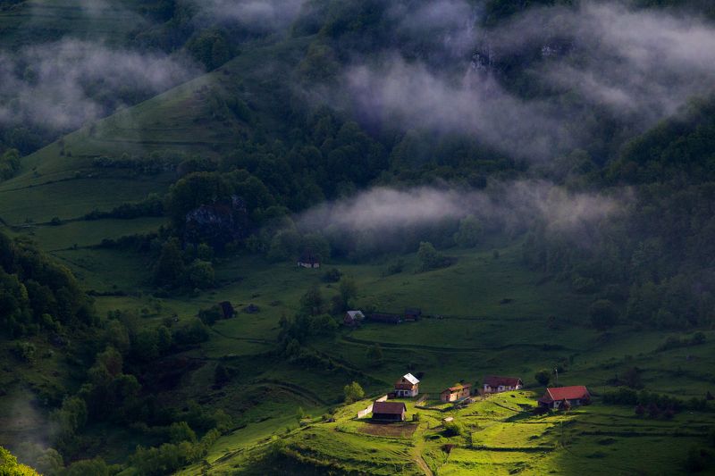morning,light,hills,spot,colors,mist, The light фото превью