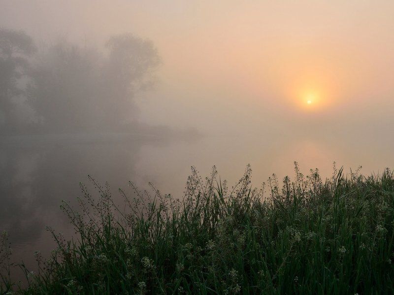 Ода туману фото превью