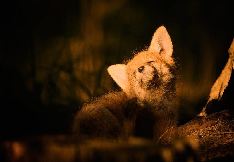 In the Sun of Breath... фото превью